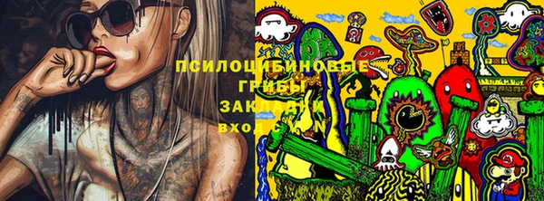 mdpv Приозерск
