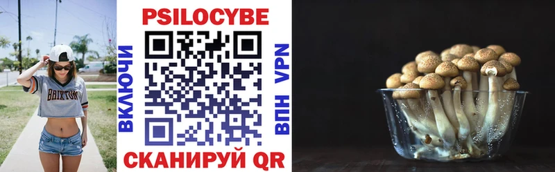 Псилоцибиновые грибы Psilocybe Котово